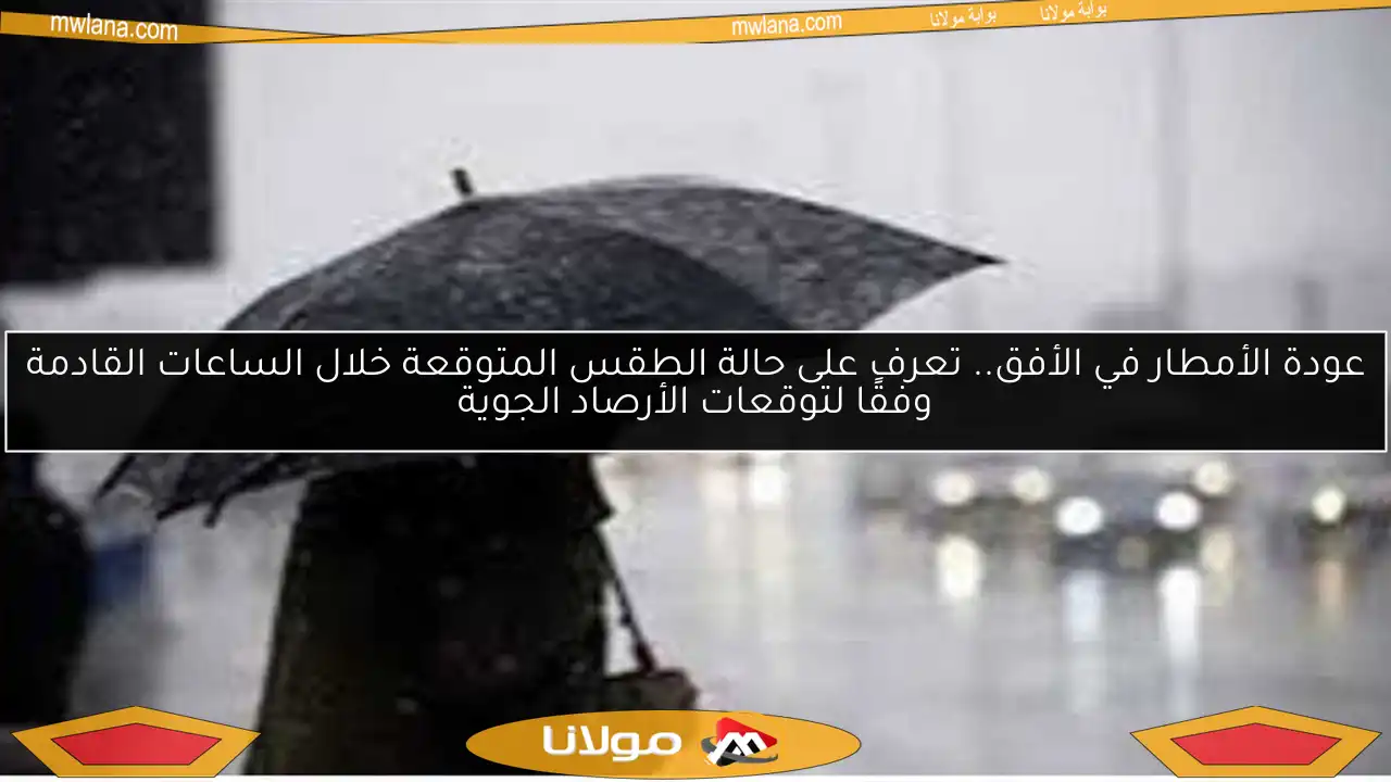 عودة الأمطار في الأفق.. تعرف على حالة الطقس المتوقعة خلال الساعات القادمة وفقًا لتوقعات الأرصاد الجوية