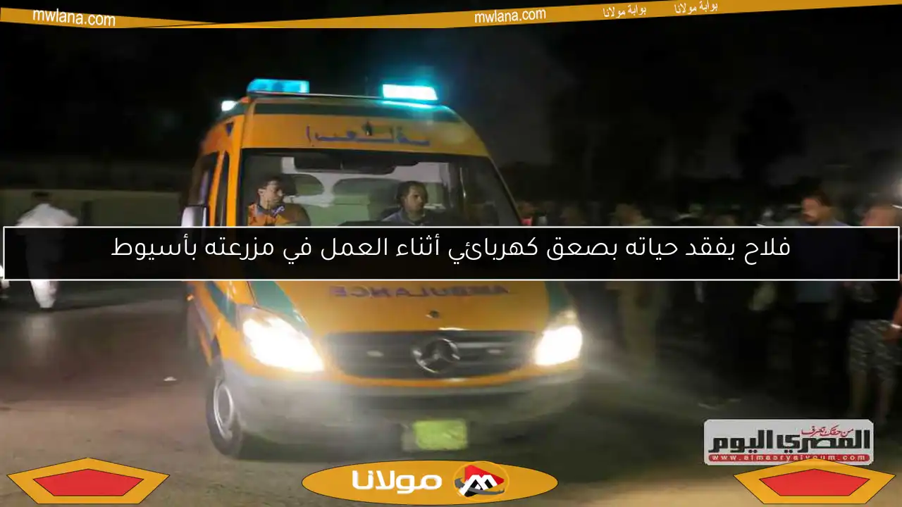 فلاح يفقد حياته بصعق كهربائي أثناء العمل في مزرعته بأسيوط