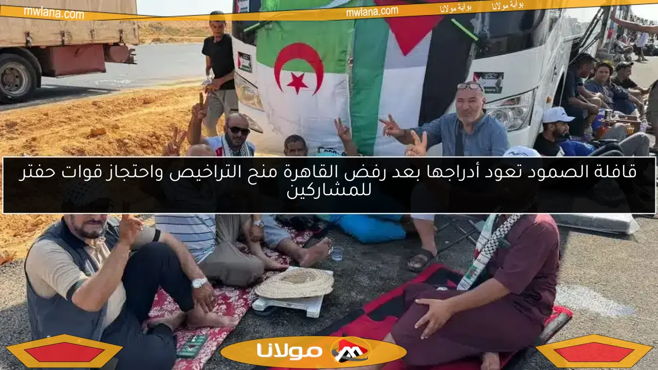 قافلة الصمود تعود أدراجها بعد رفض القاهرة منح التراخيص واحتجاز قوات حفتر للمشاركين