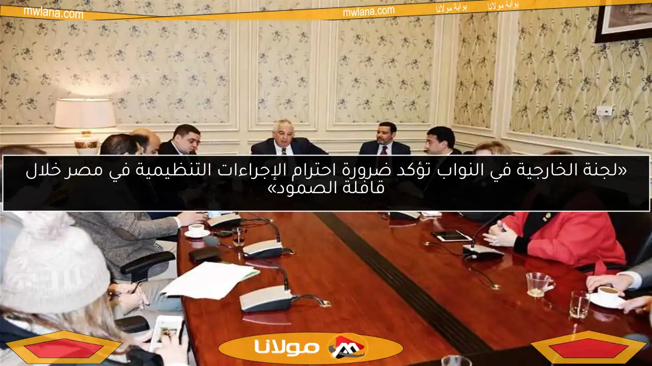 «لجنة الخارجية في النواب تؤكد ضرورة احترام الإجراءات التنظيمية في مصر خلال قافلة الصمود»
