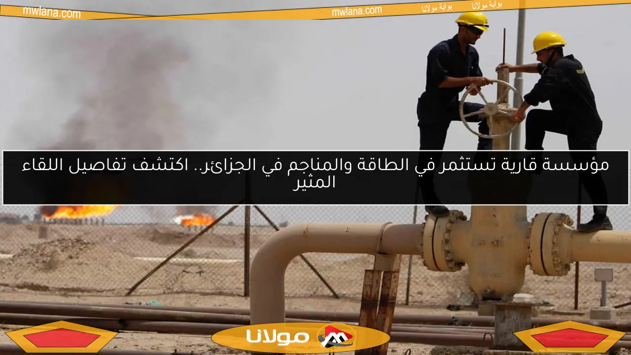 مؤسسة قارية تستثمر في الطاقة والمناجم في الجزائر.. اكتشف تفاصيل اللقاء المثير