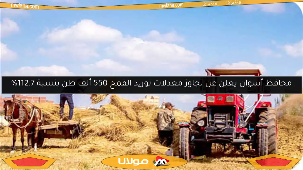 محافظ أسوان يعلن عن تجاوز معدلات توريد القمح 550 ألف طن بنسبة 112.7%