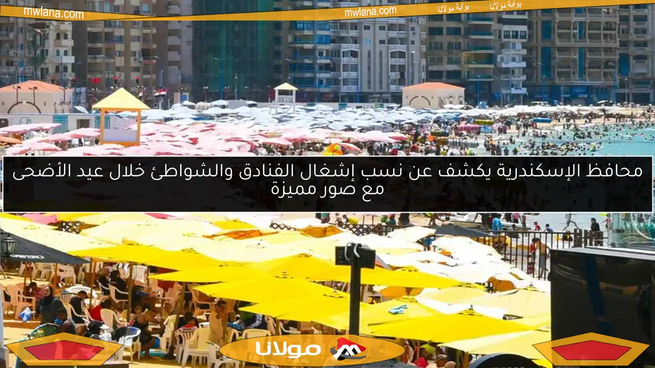 محافظ الإسكندرية يكشف عن نسب إشغال الفنادق والشواطئ خلال عيد الأضحى مع صور مميزة