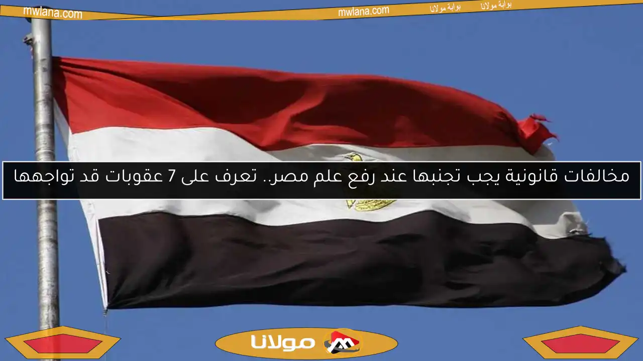 مخالفات قانونية يجب تجنبها عند رفع علم مصر.. تعرف على 7 عقوبات قد تواجهها