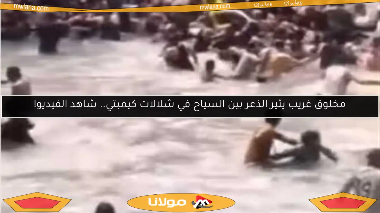 مخلوق غريب يثير الذعر بين السياح في شلالات كيمبتي.. شاهد الفيديو!