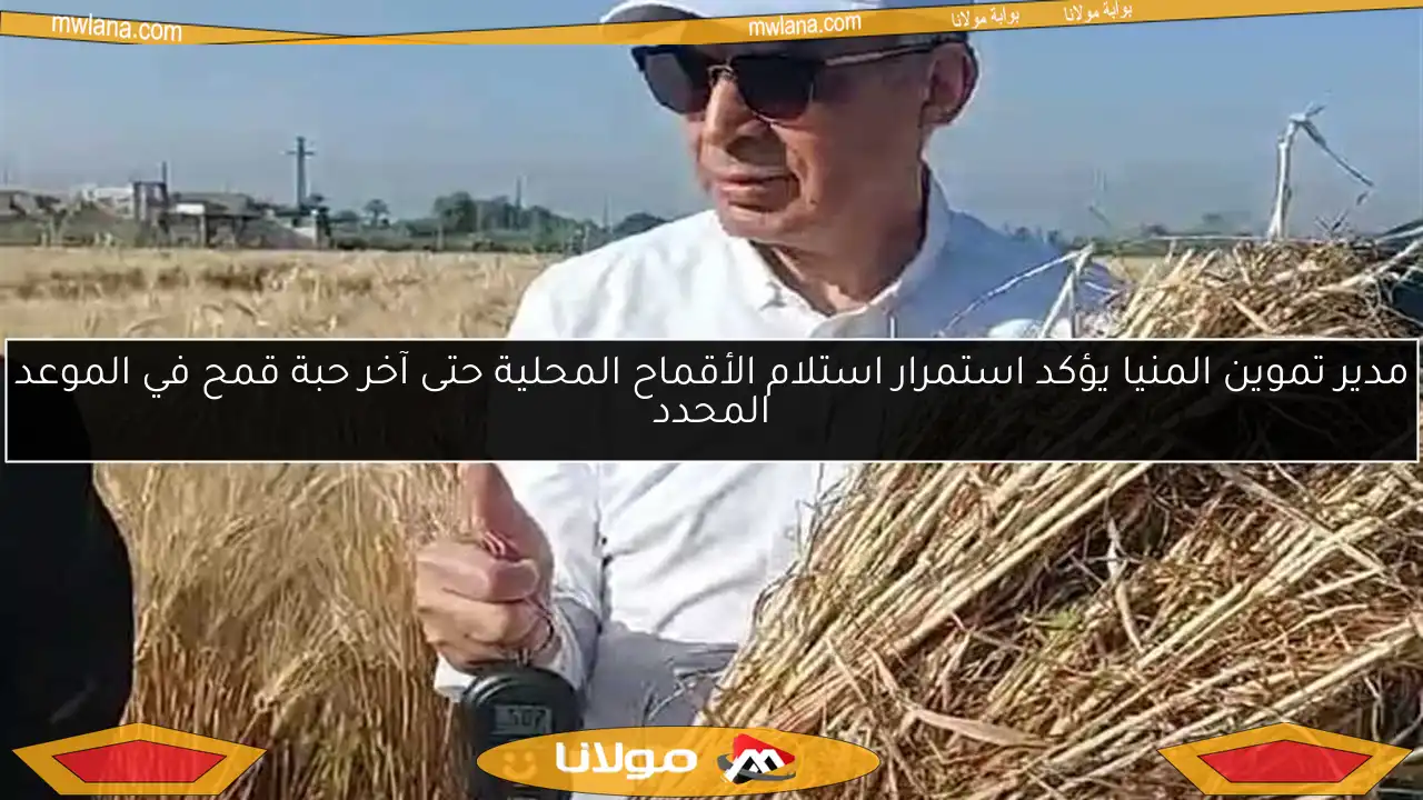 مدير تموين المنيا يؤكد استمرار استلام الأقماح المحلية حتى آخر حبة قمح في الموعد المحدد