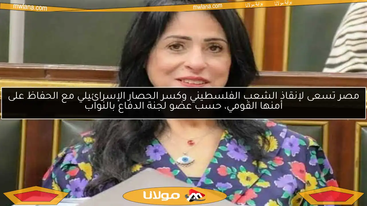 مصر تسعى لإنقاذ الشعب الفلسطيني وكسر الحصار الإسرائيلي مع الحفاظ على أمنها القومي، حسب عضو لجنة الدفاع بالنواب