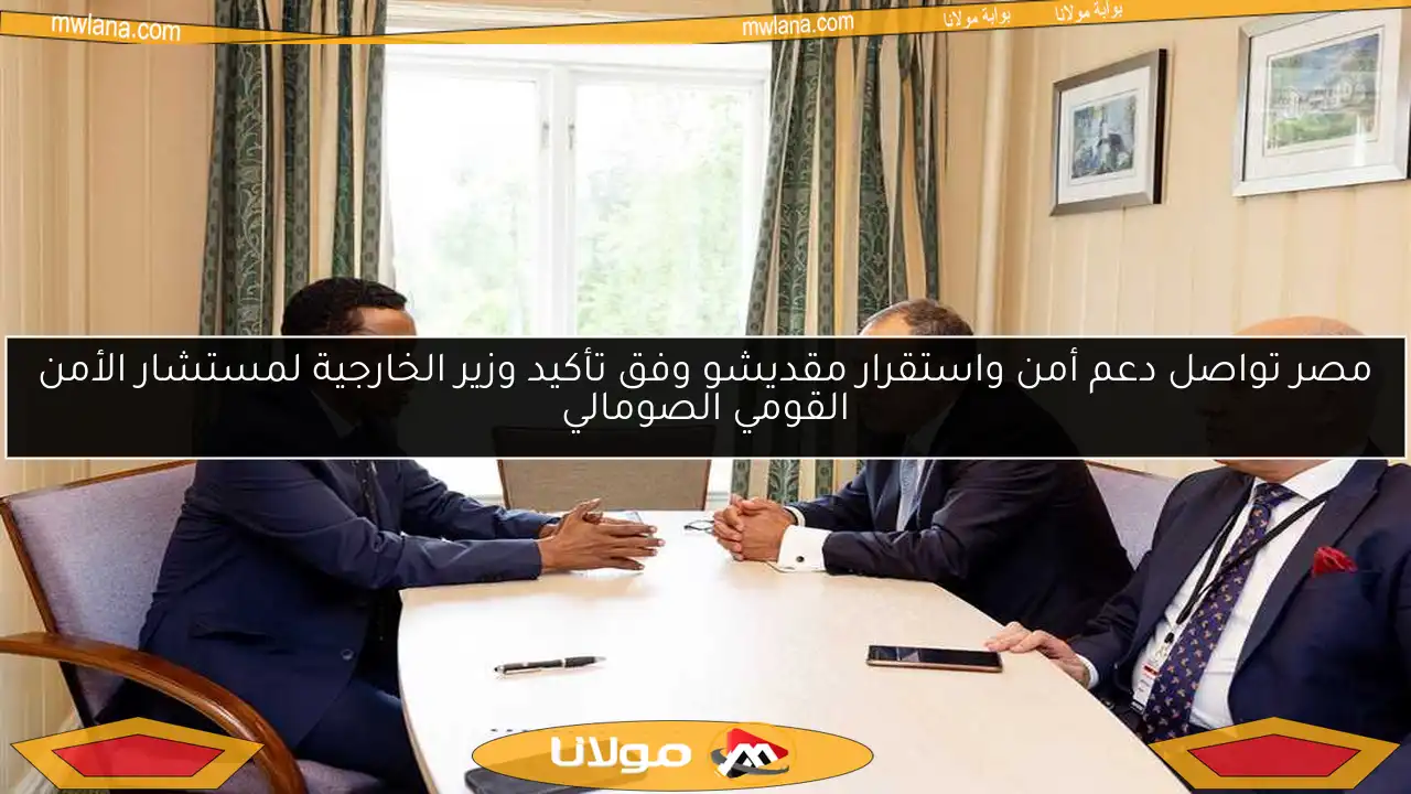 مصر تواصل دعم أمن واستقرار مقديشو وفق تأكيد وزير الخارجية لمستشار الأمن القومي الصومالي