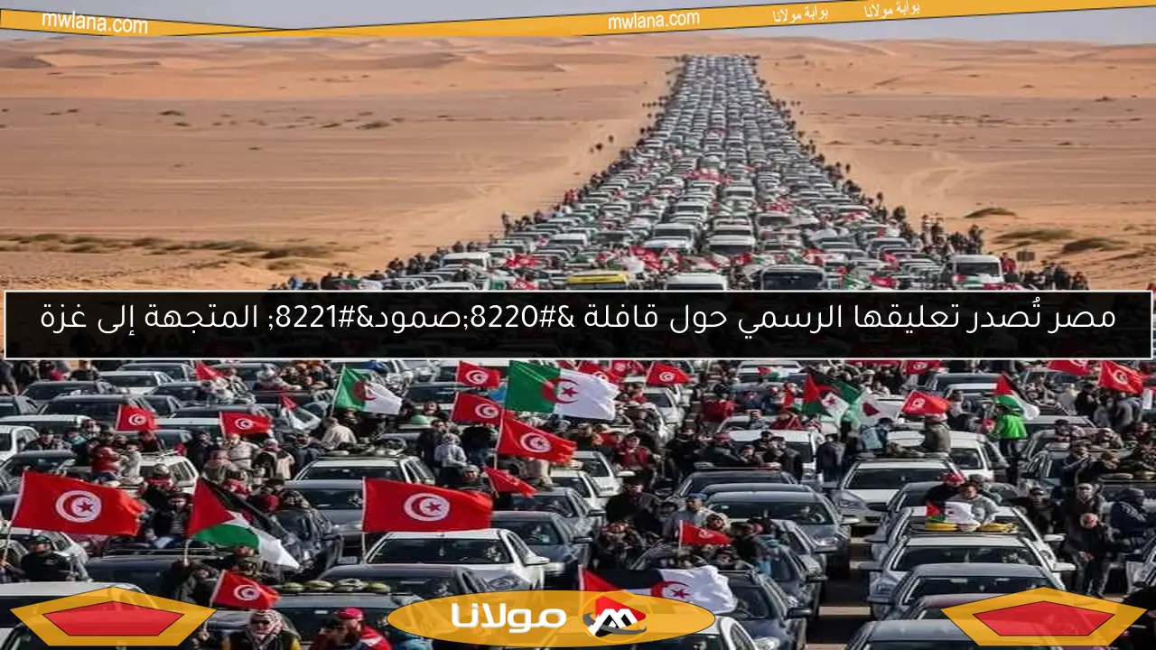 مصر تُصدر تعليقها الرسمي حول قافلة “صمود” المتجهة إلى غزة