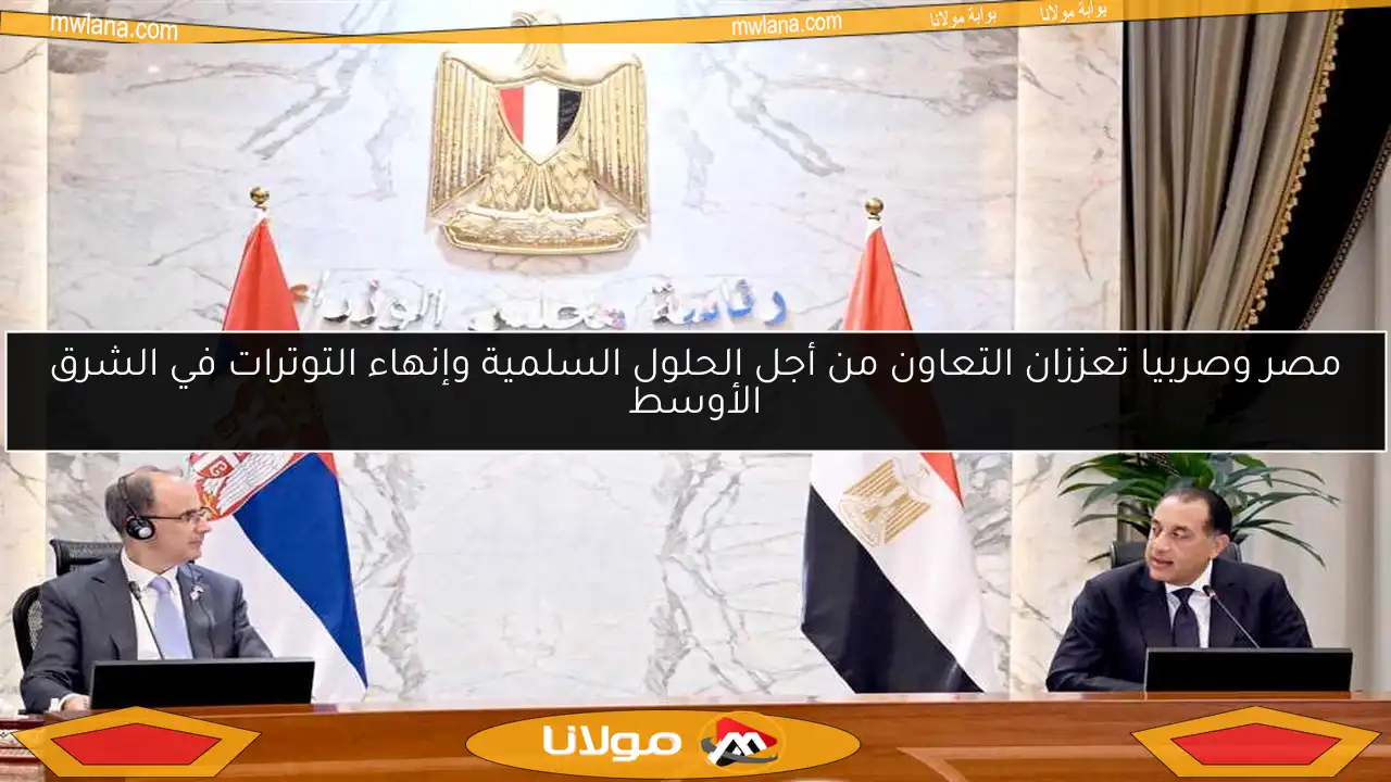 مصر وصربيا تعززان التعاون من أجل الحلول السلمية وإنهاء التوترات في الشرق الأوسط
