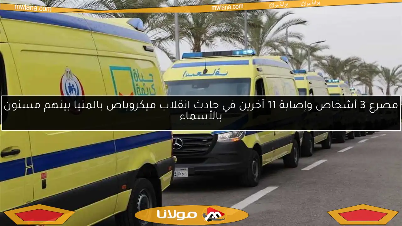 مصرع 3 أشخاص وإصابة 11 آخرين في حادث انقلاب ميكروباص بالمنيا بينهم مسنون بالأسماء