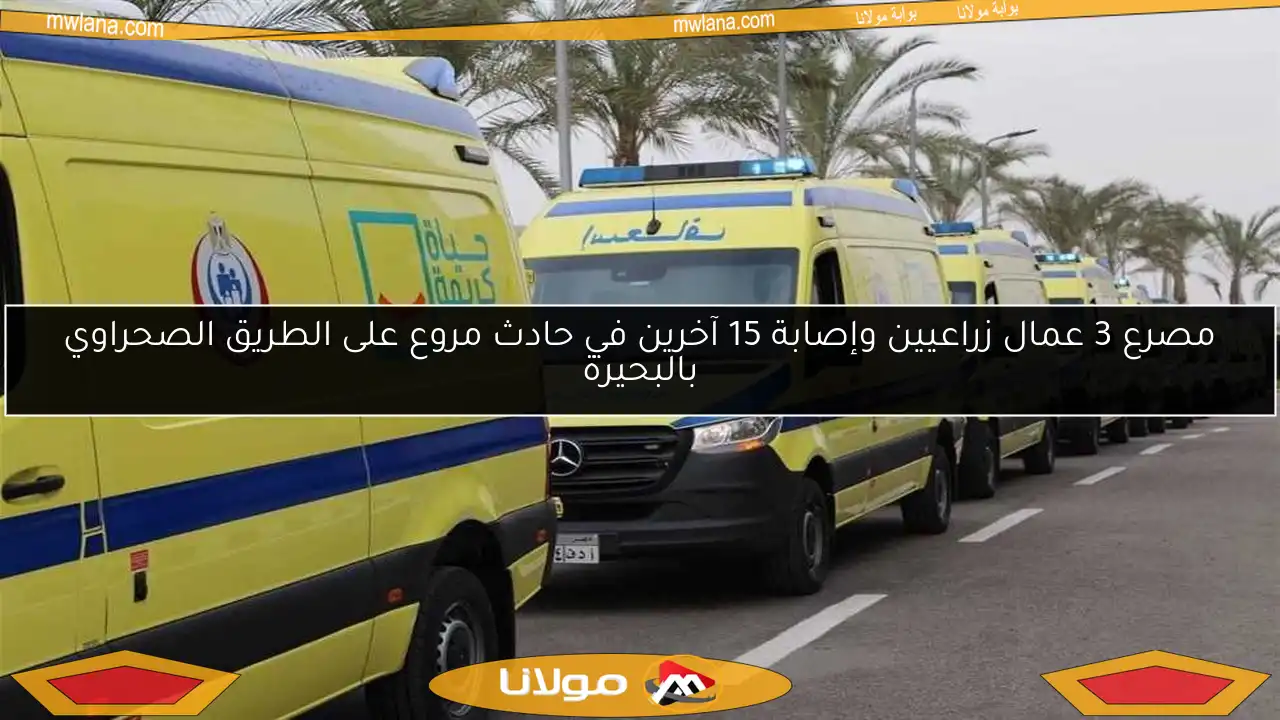مصرع 3 عمال زراعيين وإصابة 15 آخرين في حادث مروع على الطريق الصحراوي بالبحيرة