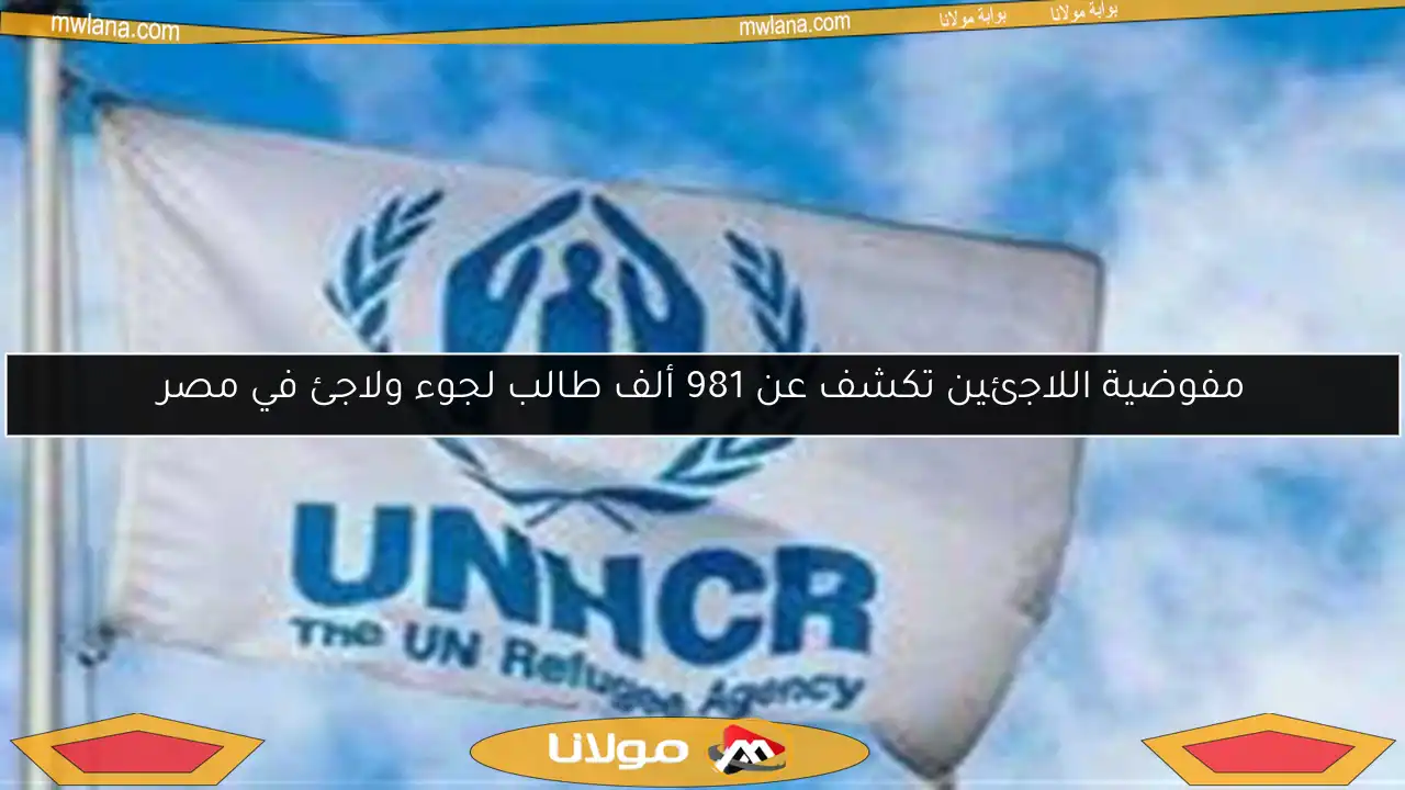 مفوضية اللاجئين تكشف عن 981 ألف طالب لجوء ولاجئ في مصر