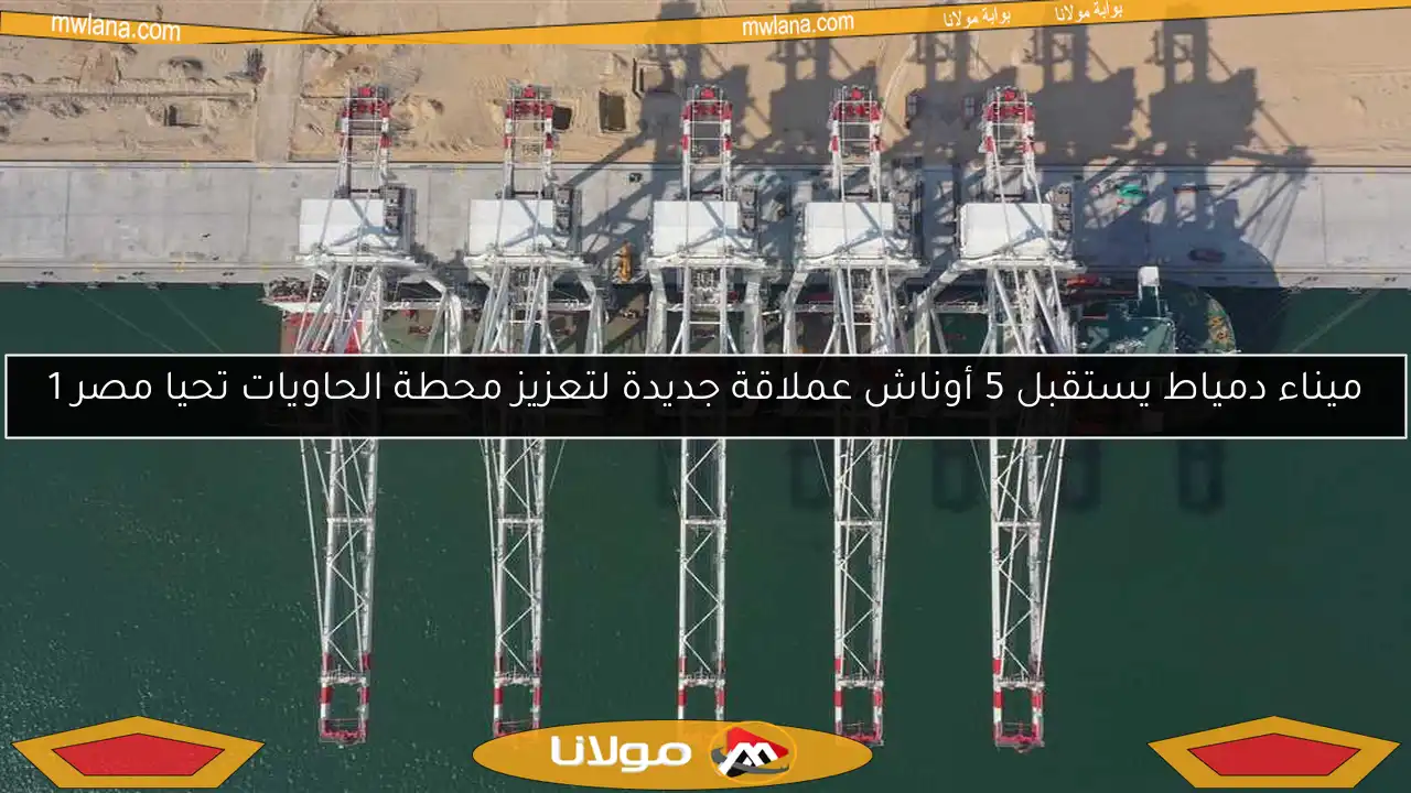 ميناء دمياط يستقبل 5 أوناش عملاقة جديدة لتعزيز محطة الحاويات تحيا مصر 1