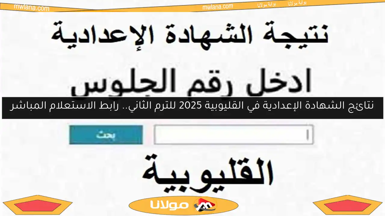 نتائج الشهادة الإعدادية في القليوبية 2025 للترم الثاني.. رابط الاستعلام المباشر