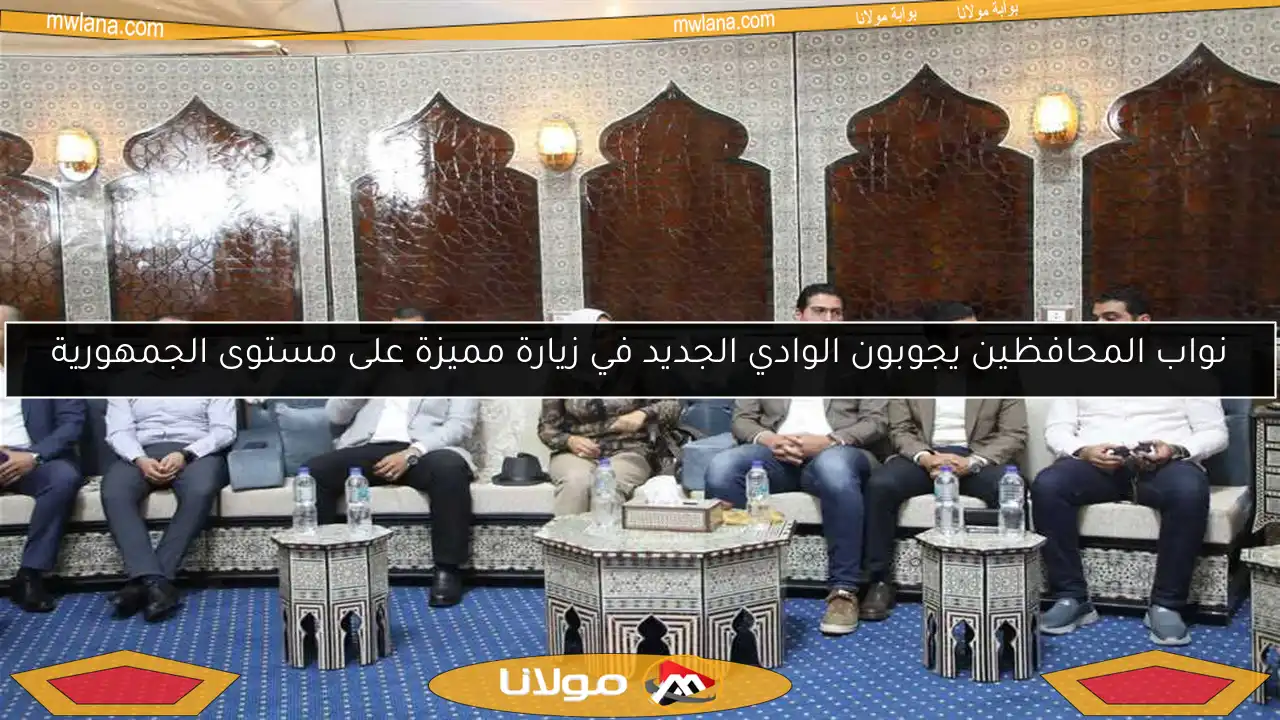 نواب المحافظين يجوبون الوادي الجديد في زيارة مميزة على مستوى الجمهورية