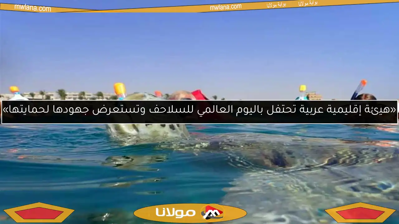 «هيئة إقليمية عربية تحتفل باليوم العالمي للسلاحف وتستعرض جهودها لحمايتها»