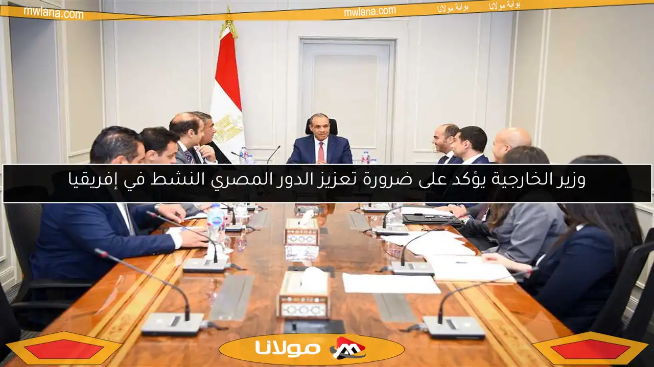 وزير الخارجية يؤكد على ضرورة تعزيز الدور المصري النشط في إفريقيا
