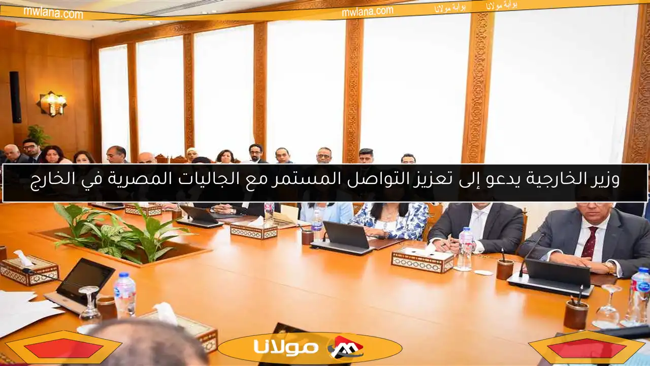 وزير الخارجية يدعو إلى تعزيز التواصل المستمر مع الجاليات المصرية في الخارج