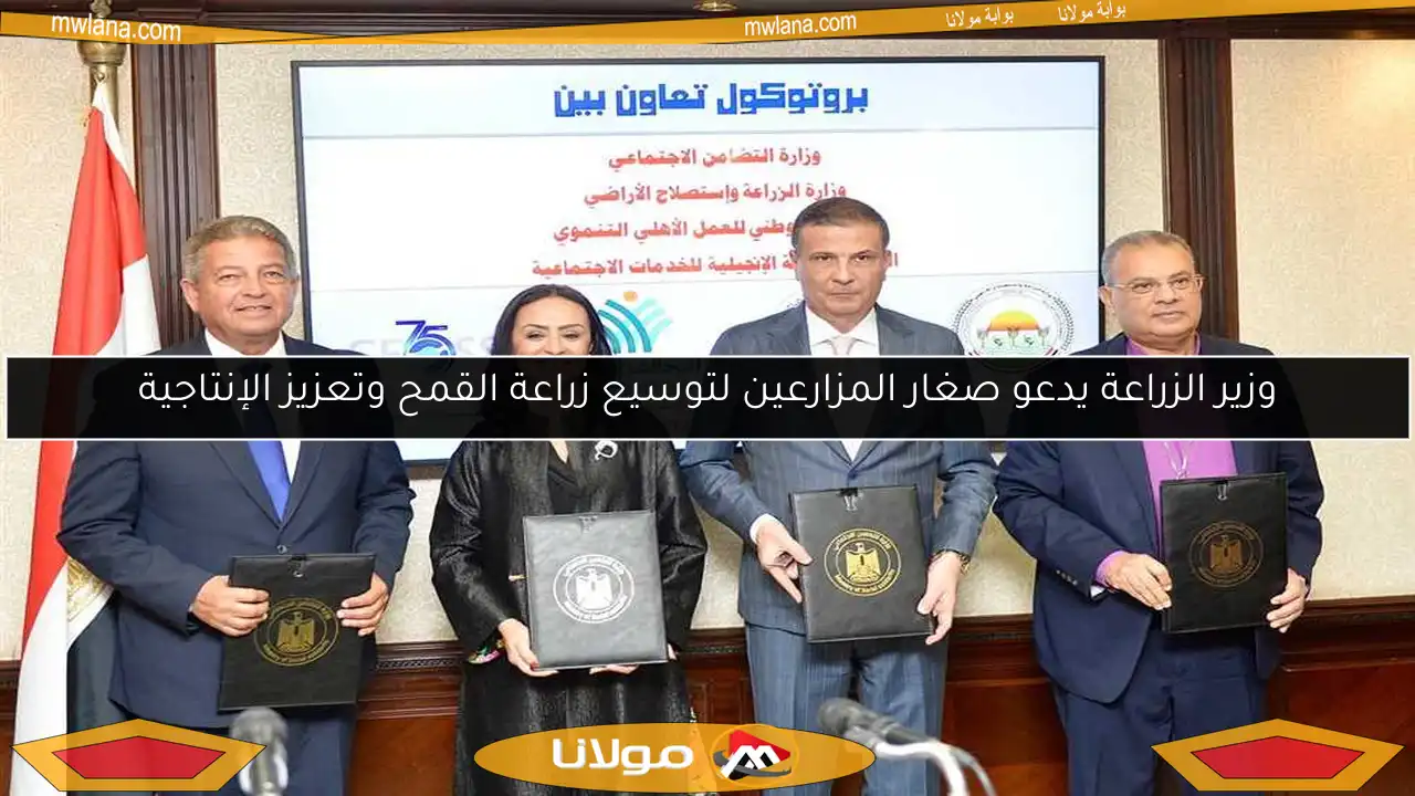 وزير الزراعة يدعو صغار المزارعين لتوسيع زراعة القمح وتعزيز الإنتاجية