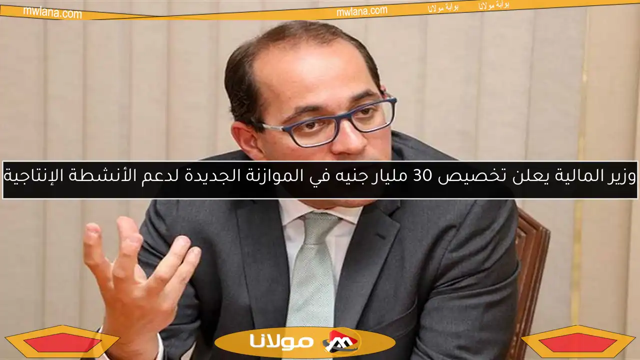 وزير المالية يعلن تخصيص 30 مليار جنيه في الموازنة الجديدة لدعم الأنشطة الإنتاجية