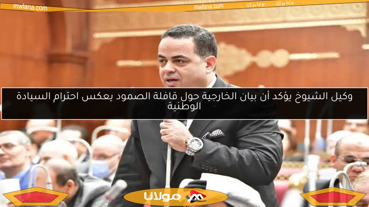 وكيل الشيوخ يؤكد أن بيان الخارجية حول قافلة الصمود يعكس احترام السيادة الوطنية