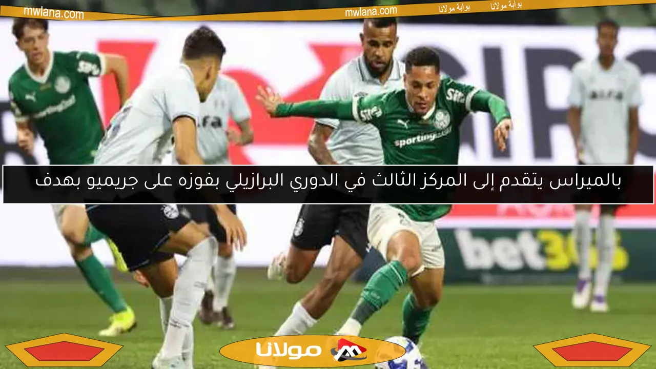 بالميراس يتقدم إلى المركز الثالث في الدوري البرازيلي بفوزه على جريميو بهدف