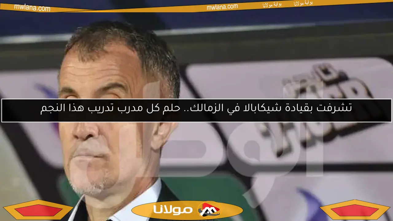 تشرفت بقيادة شيكابالا في الزمالك.. حلم كل مدرب تدريب هذا النجم