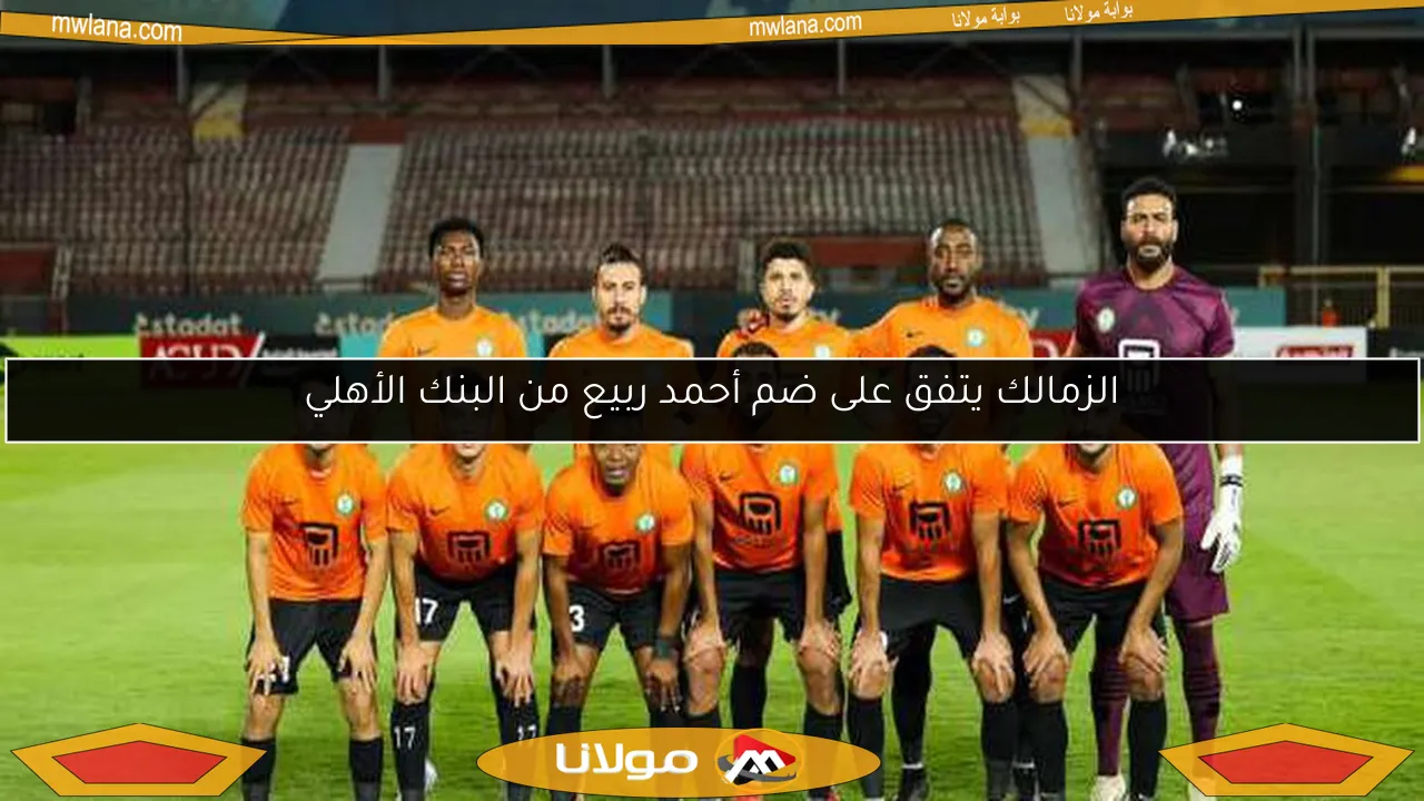الزمالك يتفق على ضم أحمد ربيع من البنك الأهلي