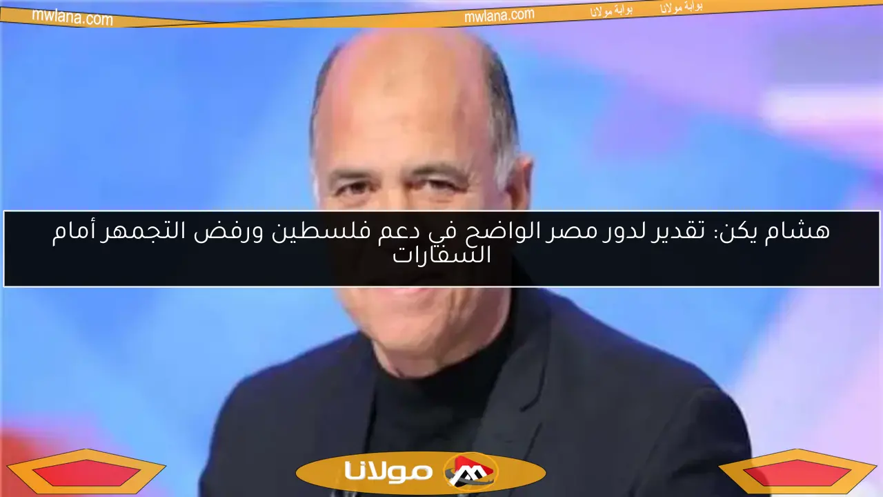 هشام يكن: تقدير لدور مصر الواضح في دعم فلسطين ورفض التجمهر أمام السفارات